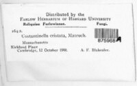 Image Associated With the Occurence